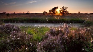 Fietsen en wandelen