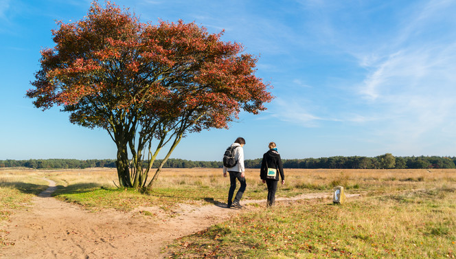autumn walk dennenhof van der valk