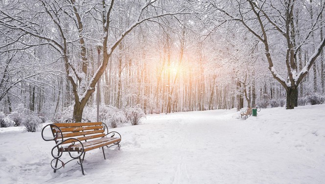 Arrangement de Au coeur de l’Hiver