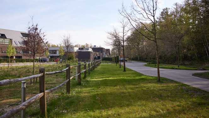 Vrolijk voorjaar
